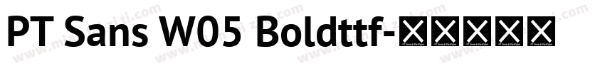 PT Sans W05 Boldttf字体转换